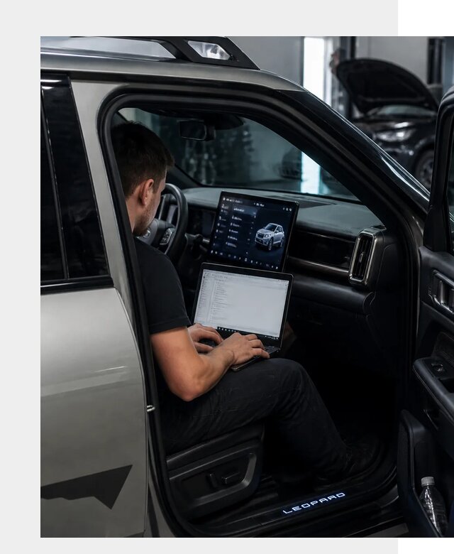Русификация BYD Leopard 3 в Костомукше по цене от 20302 р. | ФастМобиль-Ктм
